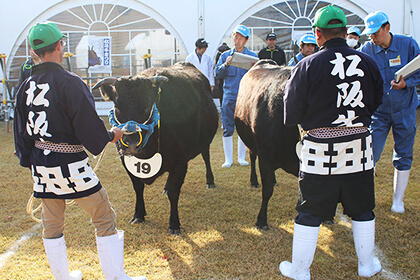 2024年 松阪肉牛共進会出品 特産松阪牛 | マックスバリュ東海