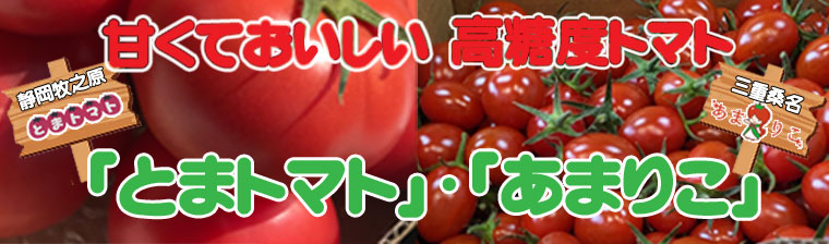 甘くておいしい 高糖度トマト バナー画像