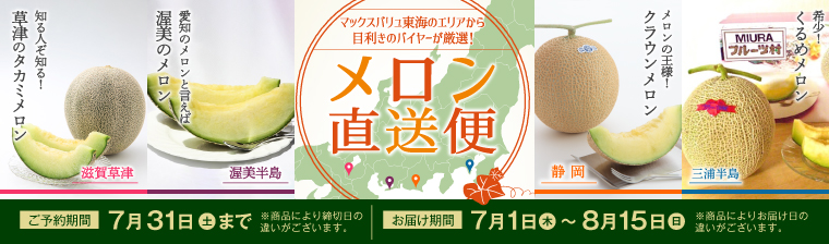 厳選!東海エリアのメロンお届けします! バナー画像