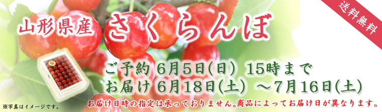 さくらんぼ2022 バナー画像