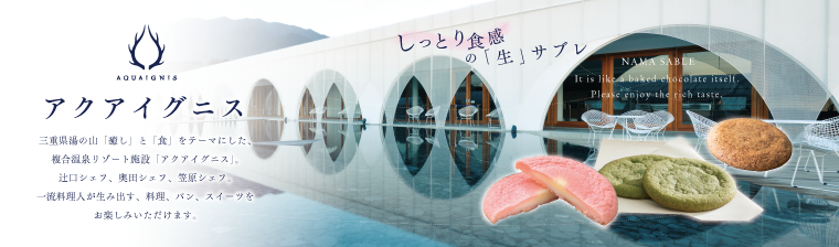 アクアイグニス バナー画像
