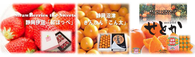 旬の「いちご」愛知蒲郡の「柑橘」 バナー画像