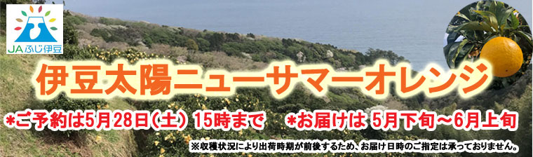 伊豆「ニューサマーオレンジ」 バナー画像