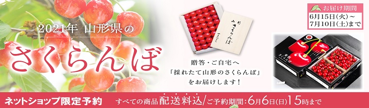 さくらんぼ2021 バナー画像