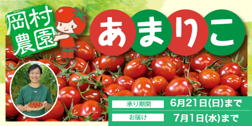 2026年　岡村農園「あまりこトマト」 バナー画像