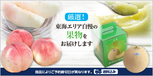 厳選！東海エリア自慢の果物をお届けします バナー画像
