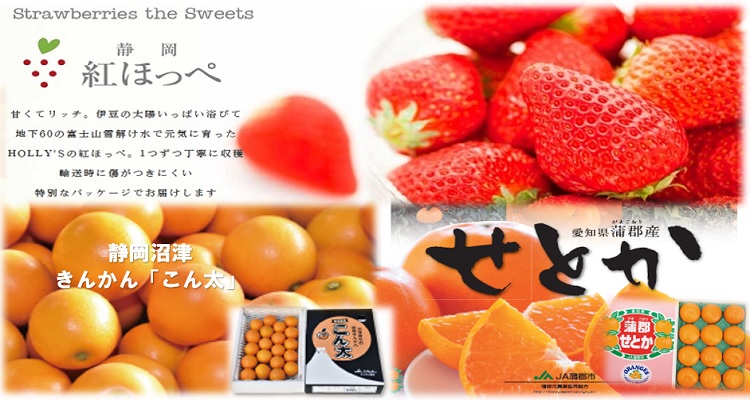 旬の「いちご」愛知蒲郡の「柑橘」 バナー画像