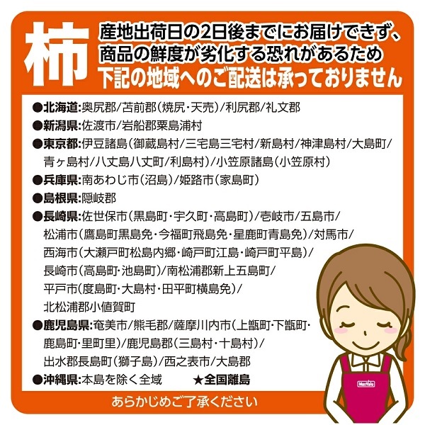 【柿ギフト】岐阜県産天下富舞 5~6玉 商品画像(2)