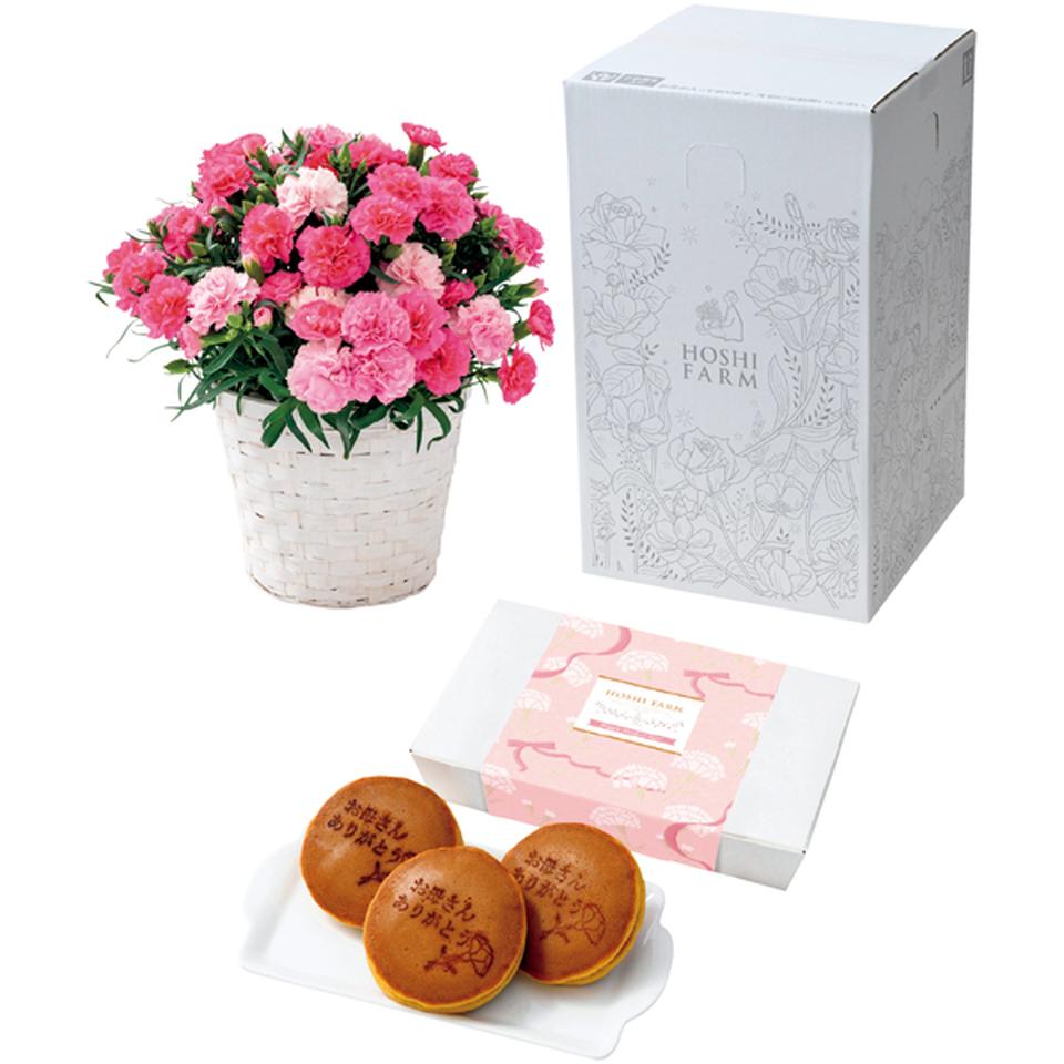 【母の日早得】ホシファームカーネーション＆徳島なると金時のどら焼き 商品サムネイル
