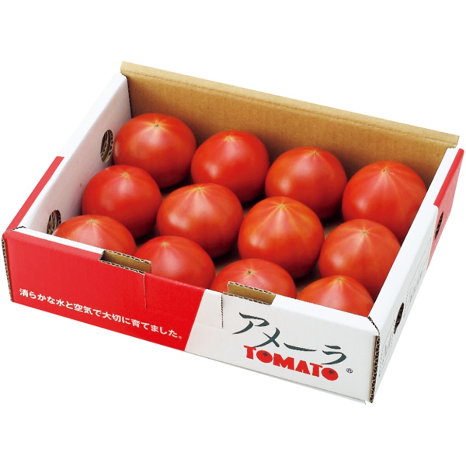 【夏の贈りもの】静岡県産（ＪＡおおいがわ） アメーラトマト 商品サムネイル