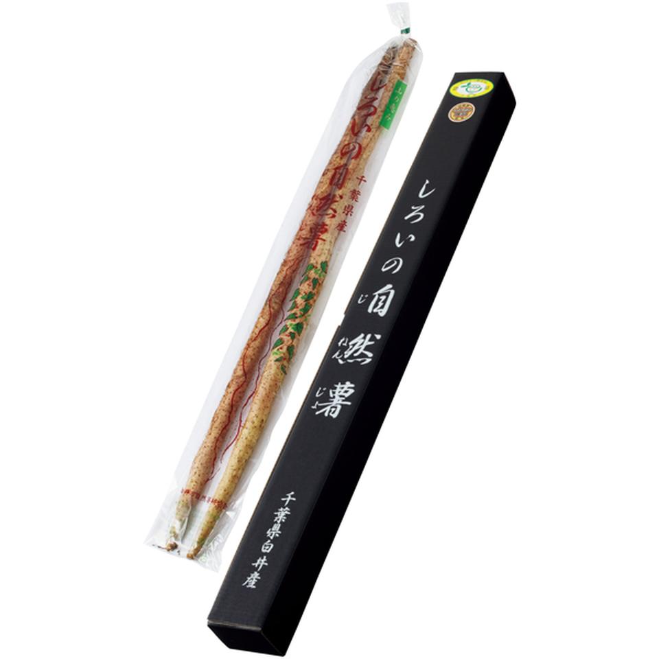 【冬の贈りもの】千葉県産 しろいの自然薯１ｋｇ 商品サムネイル