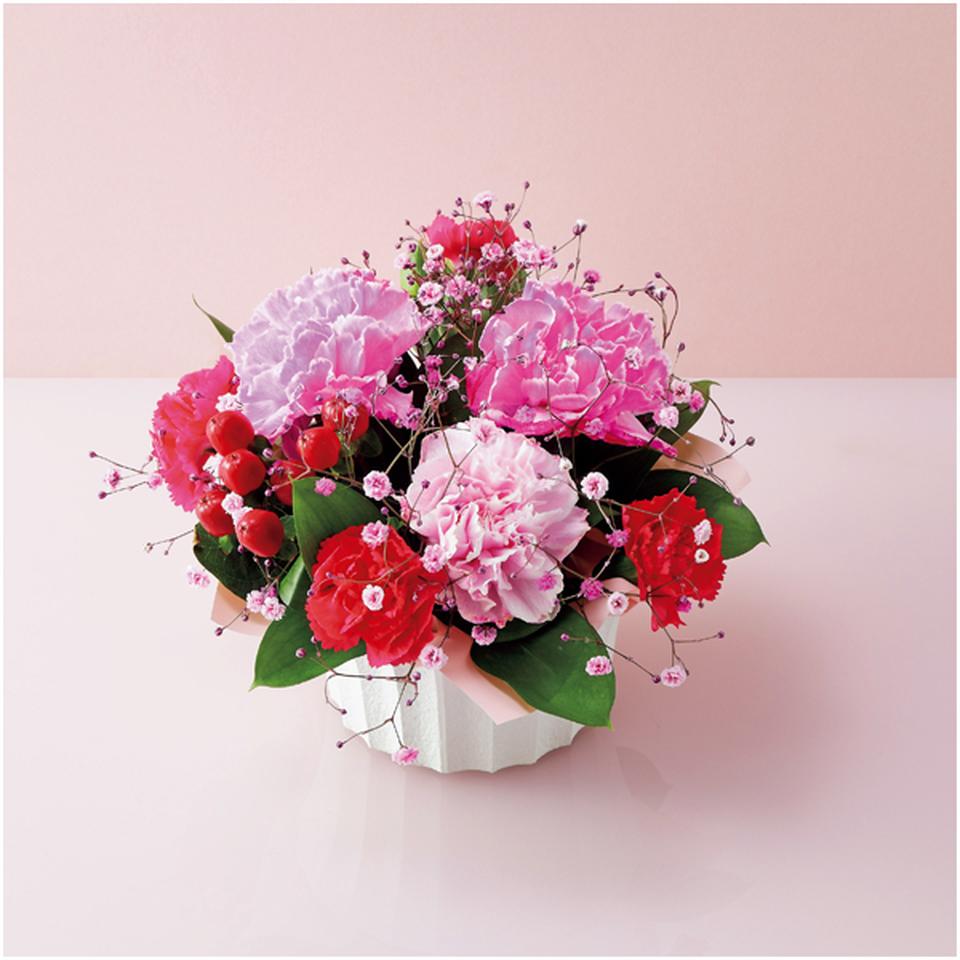 【母の日】ケーアイ・フレッシュアクセスカーネーション推し色アレンジメント（ピンク） 商品サムネイル