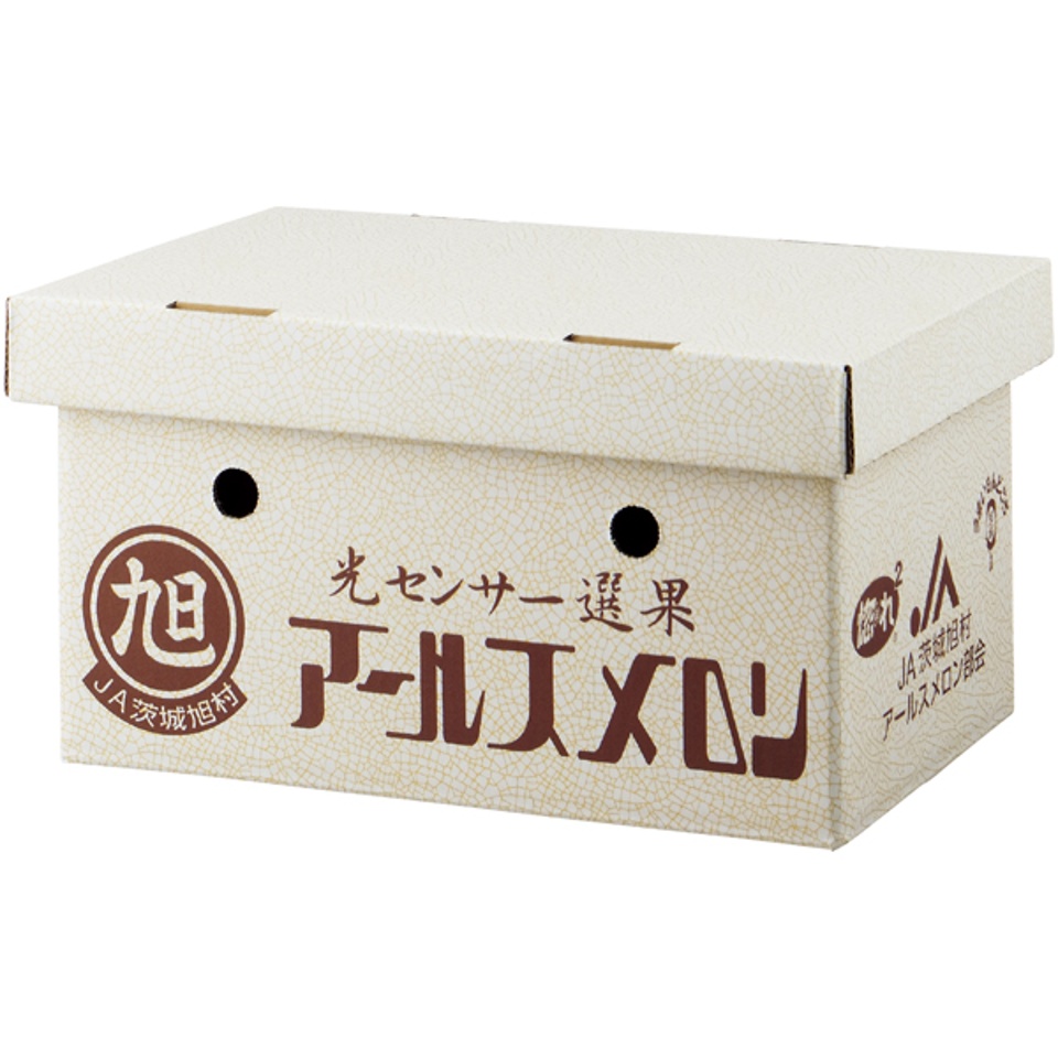 【夏の贈りもの】茨城県産（ＪＡ茨城旭村） アールスメロン２個入りギフト 商品サムネイル