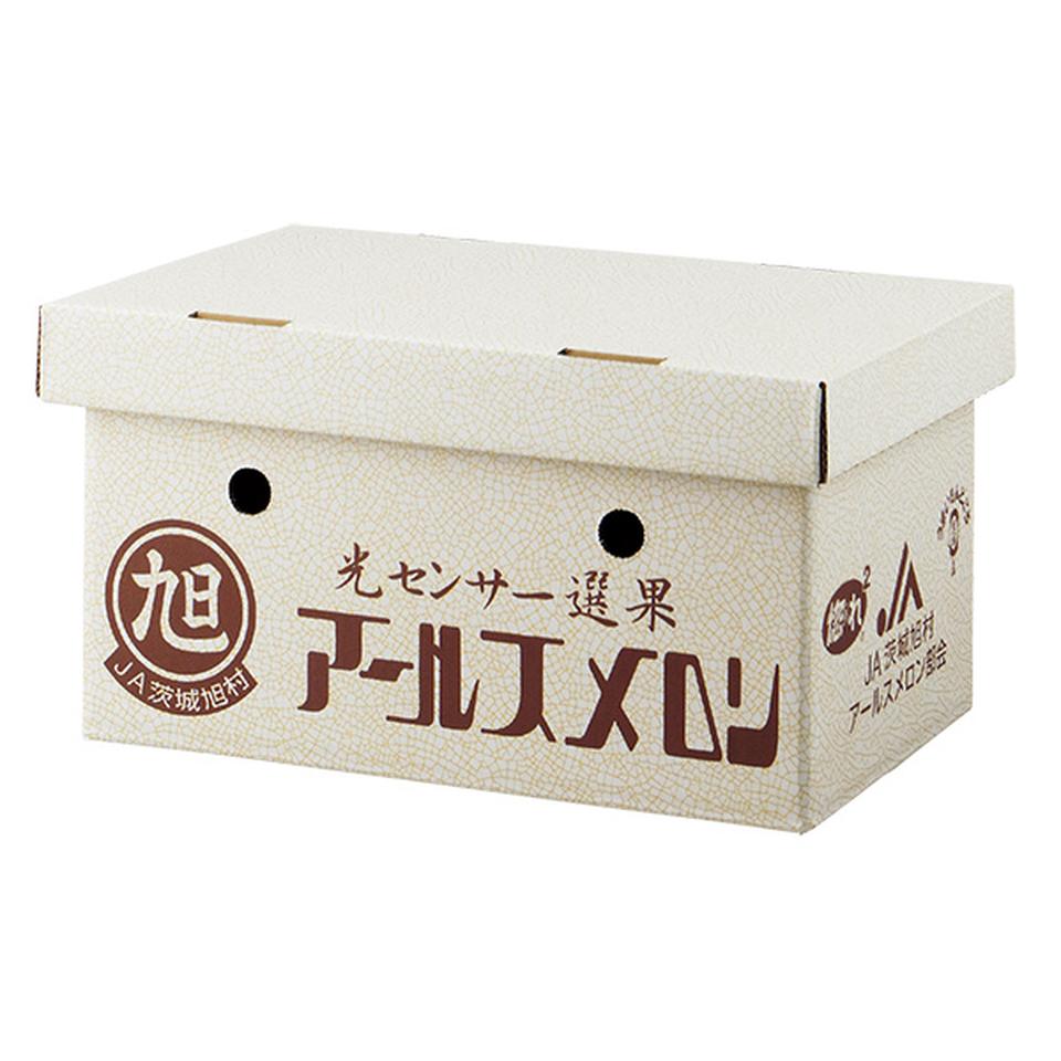 【夏の贈りもの】茨城県産（ＪＡ茨城旭村）　アールスメロン２個入りギフト 商品サムネイル