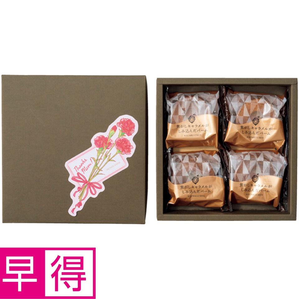 【母の日早得】ホシファームカーネーション&焦がしキャラメルがしみ込んだバーム4個 商品画像(0)
