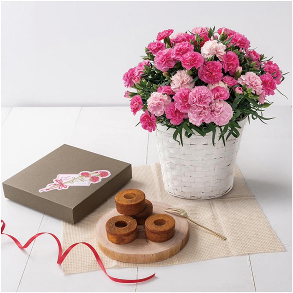 【母の日早得】ホシファームカーネーション&焦がしキャラメルがしみ込んだバーム4個 商品画像(1)