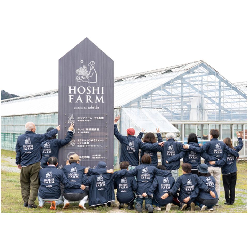 【母の日早得】ホシファームカーネーション&焦がしキャラメルがしみ込んだバーム4個 商品画像(5)