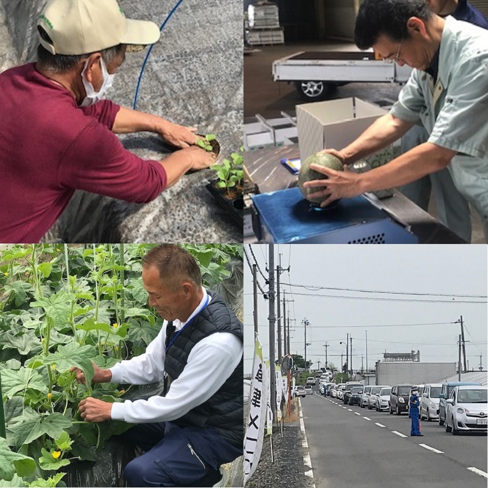 【フルーツギフト】【滋賀】草津メロン(タカミメロン 特秀)4Lサイズ 2個入り 商品画像(5)