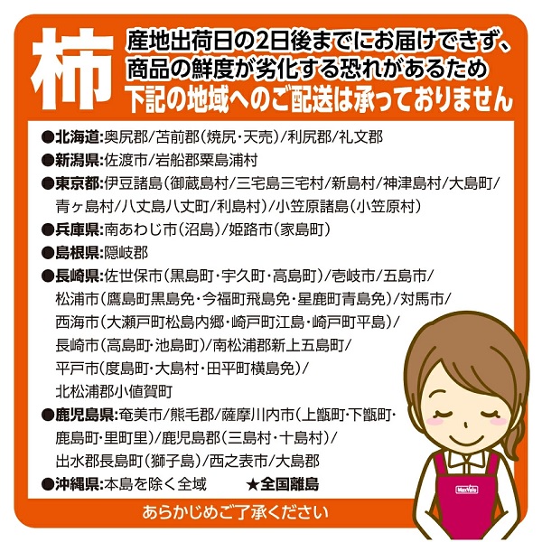 【柿ギフト】岐阜県産冨有柿 3Lサイズ 6玉 商品画像(2)