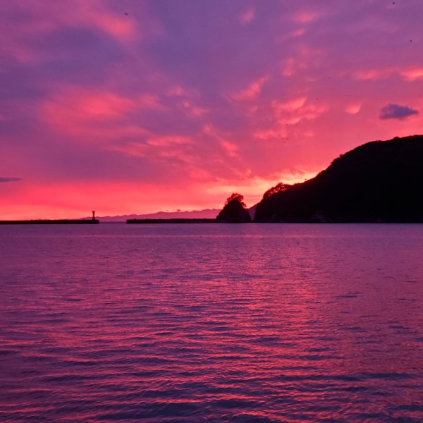 【伊勢志摩産直市場】伊勢志摩産 冷凍伊勢海老 3匹~5匹 (1000g入り)<お刺身用> 商品画像(5)