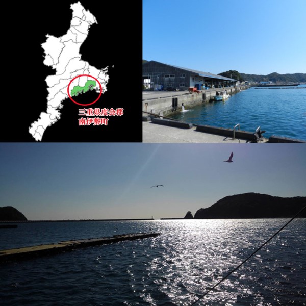 【伊勢志摩産直市場】伊勢志摩産 冷凍伊勢海老 3匹~5匹 (1000g入り)<加熱用> 商品画像(3)