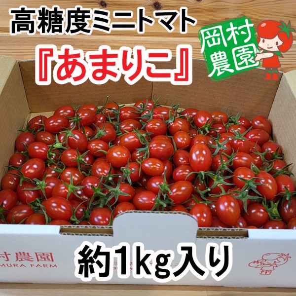 【三重桑名】岡村農園　あまりこ（高糖度ミニトマト）約1kg　 商品サムネイル