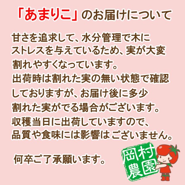 【ご予約は6/21(日)まで】あまりこ(高糖度ミニトマト)約1kg 箱 商品画像(2)