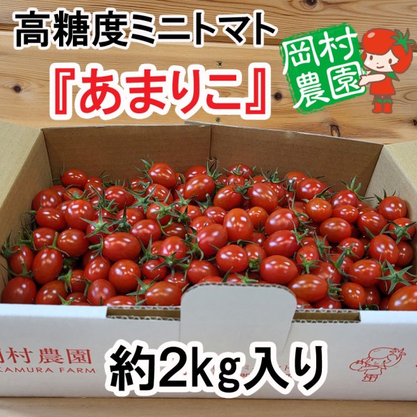 【三重桑名】岡村農園　あまりこ（高糖度ミニトマト）約2kg　 商品サムネイル