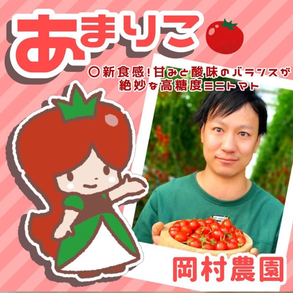 【ご予約は6/21(日)まで】あまりこ(高糖度ミニトマト)約2kg 箱 商品画像(3)