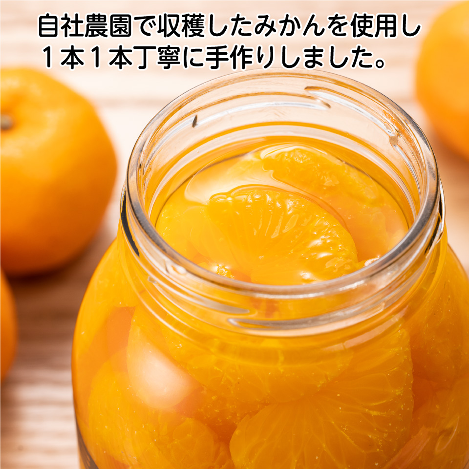 【静岡浜松】【とやま農園】三ケ日みかんのびん詰め 大瓶900g 12本セット 商品画像(1)