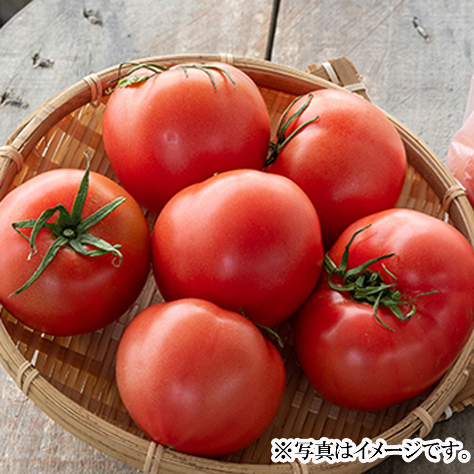 【岐阜海津】【 スマイルふぁーむ】大玉トマト  2kg　 商品サムネイル