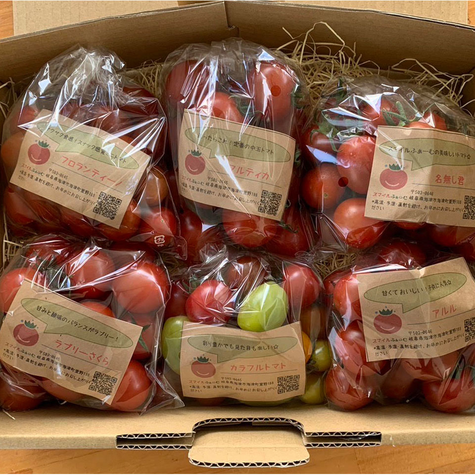 【岐阜海津】【 スマイルふぁーむ】トマトおまかせ６袋セット(約250g×6袋) 商品サムネイル