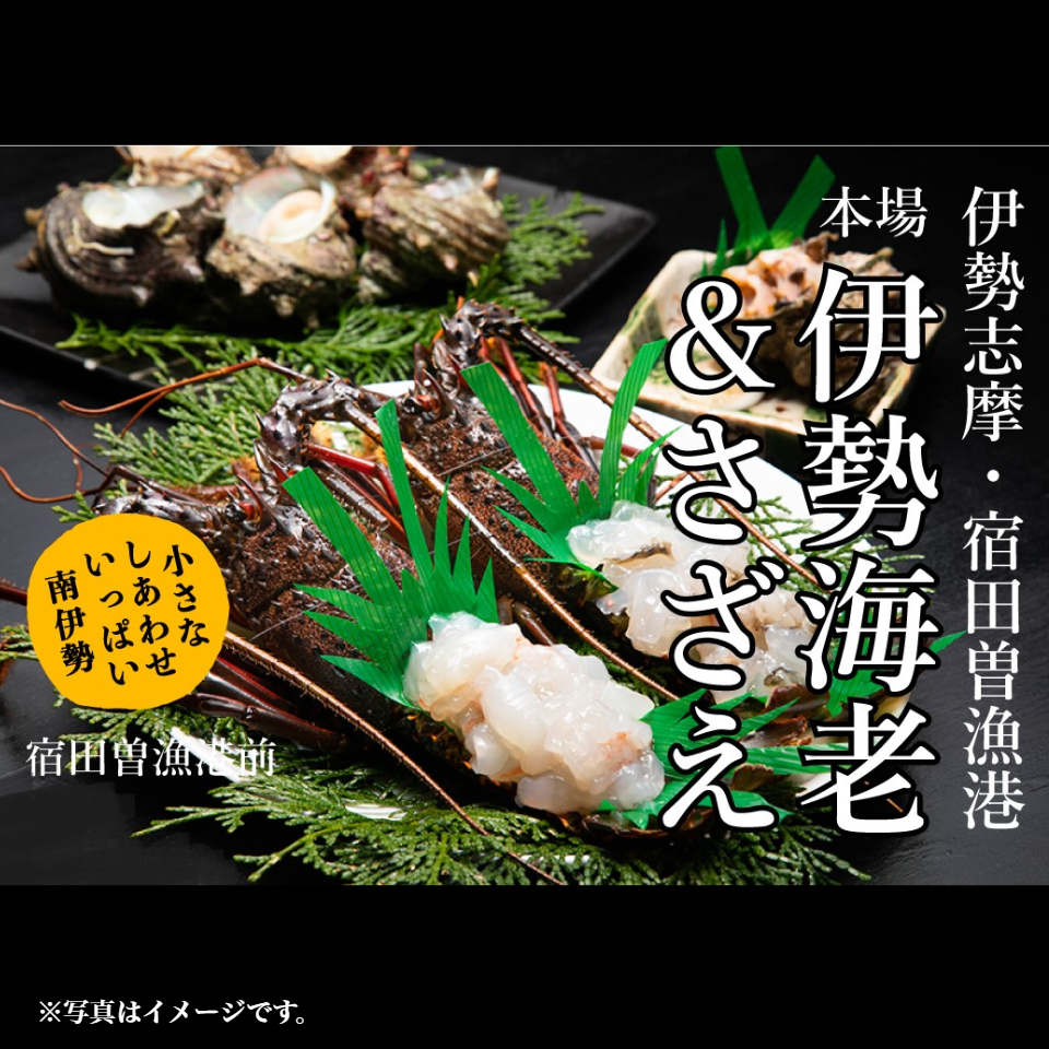 【南伊勢町 丸池】伊勢志摩産 活伊勢海老＆活さざえ Aセット(活伊勢海老 2尾、活さざえ 10～12個) 商品サムネイル