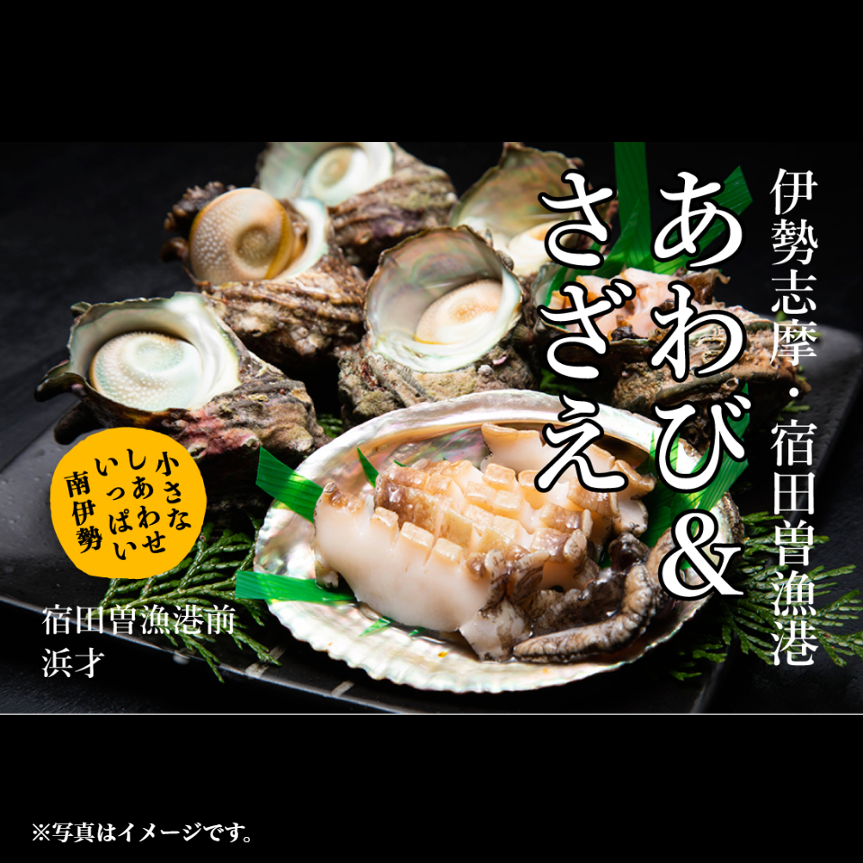 【南伊勢町 丸池】伊勢志摩産 活あわび＆活さざえ Bセット(活あわび 6個、活さざえ 10～12個) 商品サムネイル