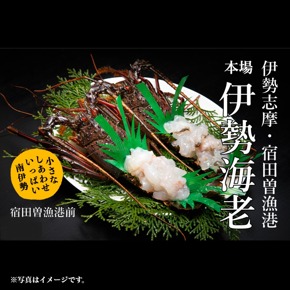 【南伊勢町 丸池】伊勢志摩産 活〆伊勢海老姿造り(冷凍・生食用) 2尾(M) 商品サムネイル