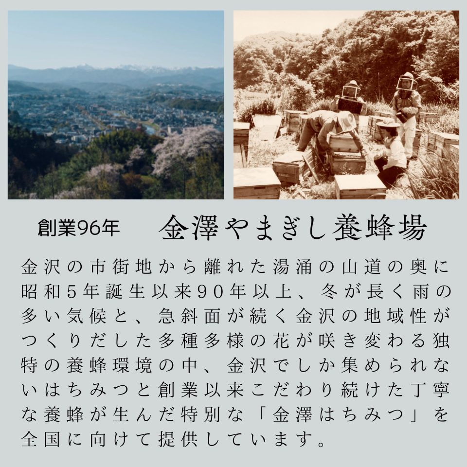 【愛知 えいこく屋&オモロス】やまぎし養蜂場 生はちみつ紅茶セット 9個入り(ギフトパッケージ) 商品画像(4)