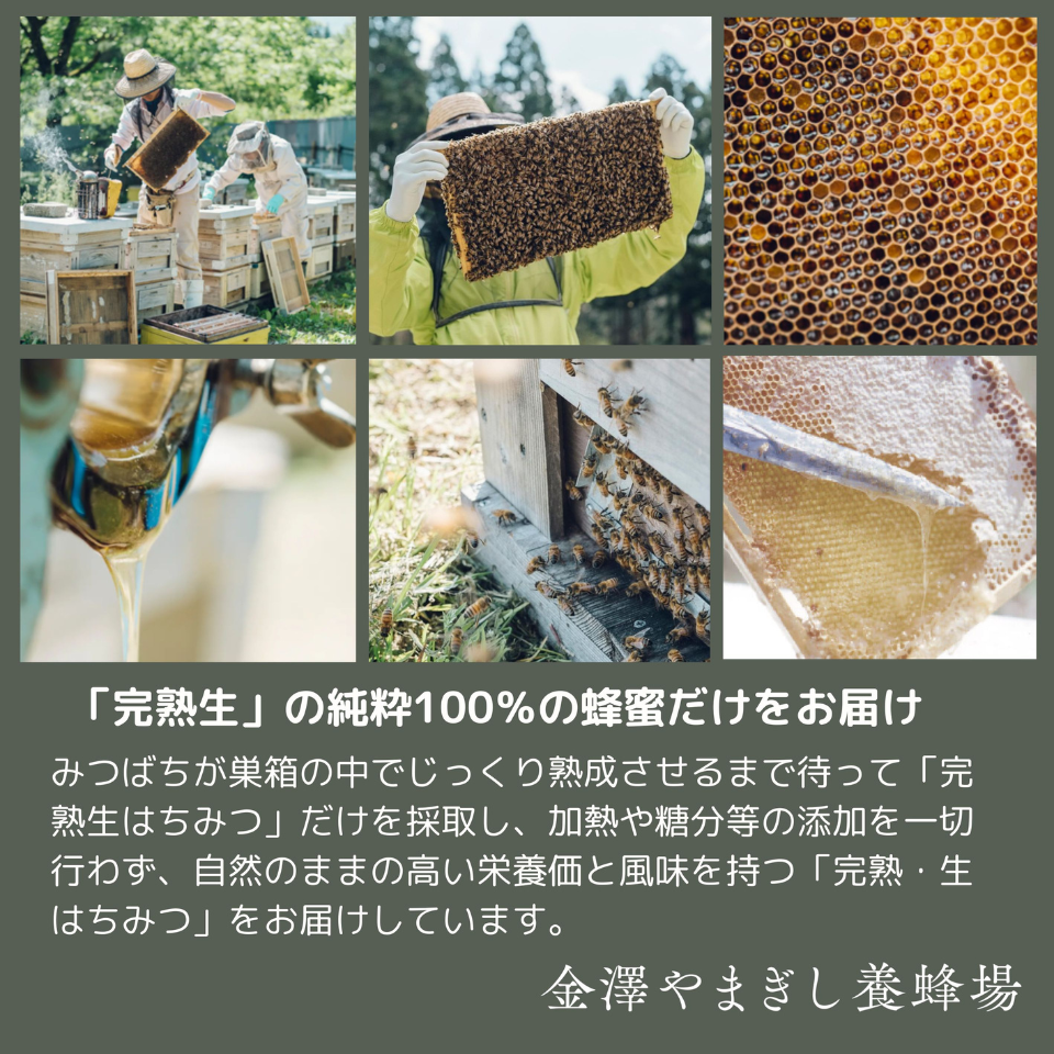 【愛知 えいこく屋&オモロス】やまぎし養蜂場 生はちみつ紅茶セット 9個入り(ギフトパッケージ) 商品画像(5)