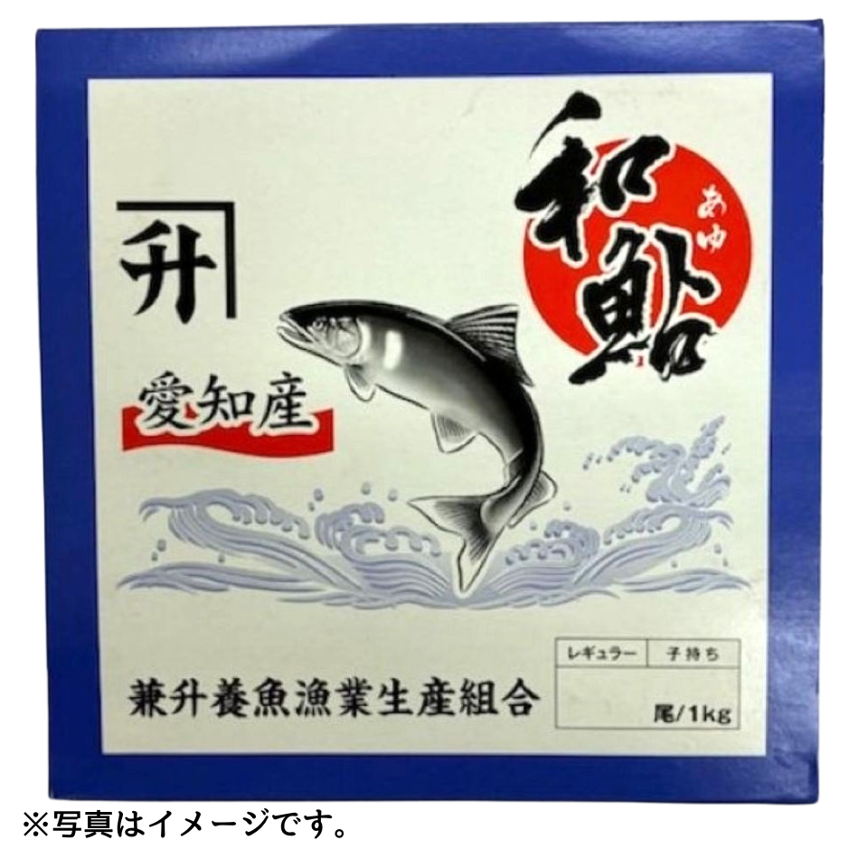 【愛知県淡水養殖漁業協同組合】愛知県産冷凍あゆ 1kg(10～13尾)入 商品サムネイル