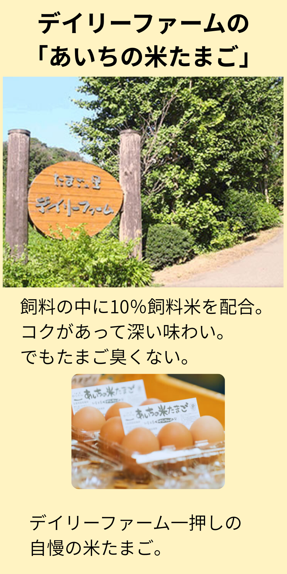 【愛知 デイリーファーム】あいちの米たまご6個入 (6パック詰め合わせ)(クール便お届け) 商品画像(1)