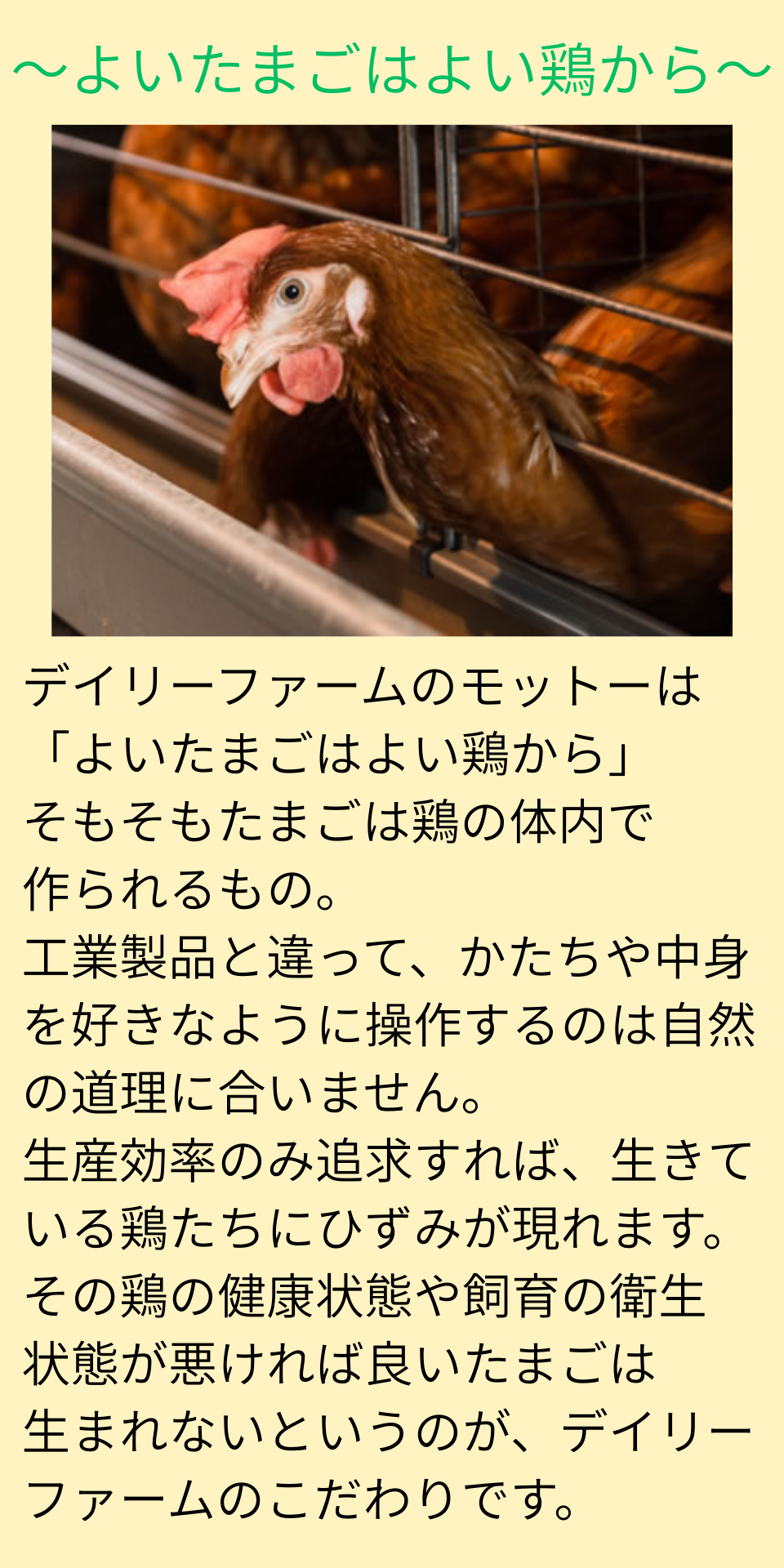 【愛知 デイリーファーム】あいちの米たまご6個入 (6パック詰め合わせ)(クール便お届け) 商品画像(2)