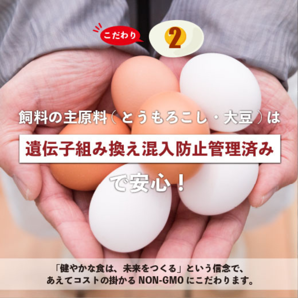 【愛知 デイリーファーム】あいちの米たまご6個入 (6パック詰め合わせ)(クール便お届け) 商品画像(5)