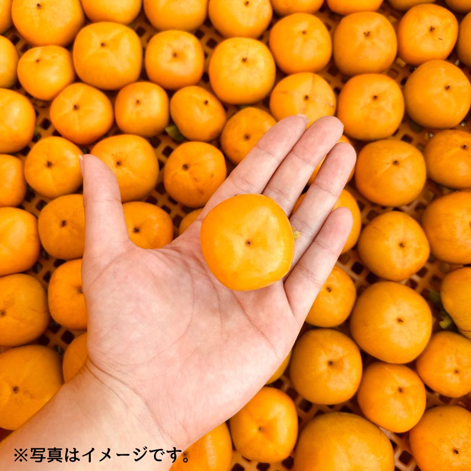 【岐阜 Umai Japan】うま杉のミニ柿 250g (1パック) 商品画像(1)