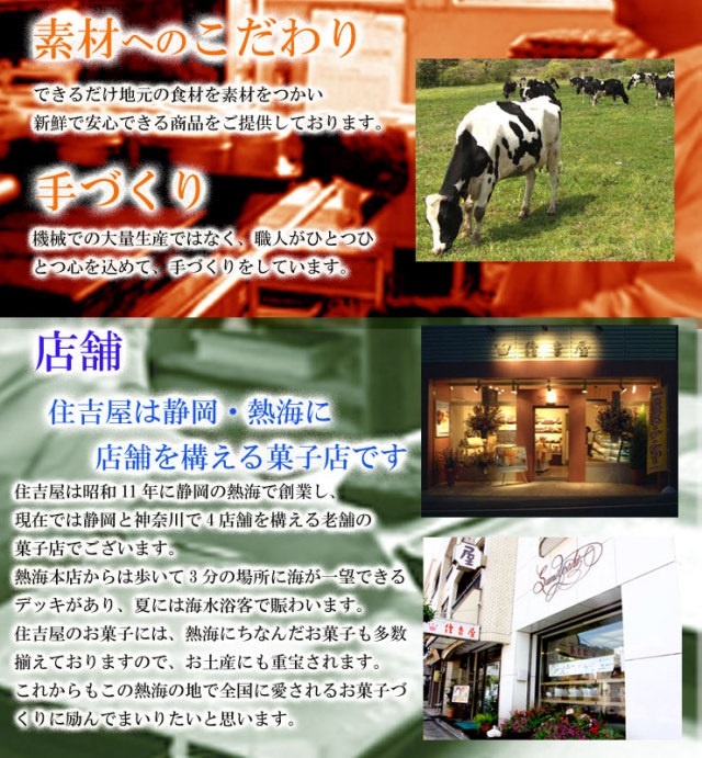 【静岡熱海】【住吉屋】とろけるショコラ10個入 商品画像(6)