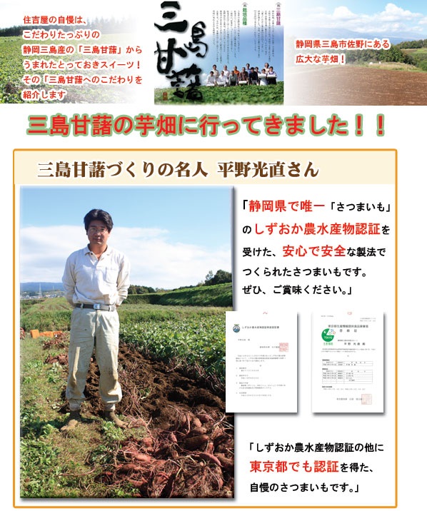 【静岡熱海】【住吉屋】三島甘藷ポテト15個入 商品画像(5)