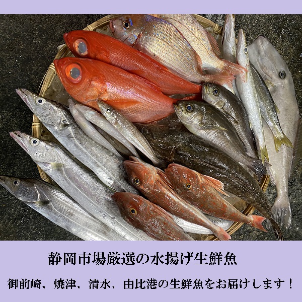 【静岡市場直送】静岡市場 水揚げお魚セット 商品サムネイル