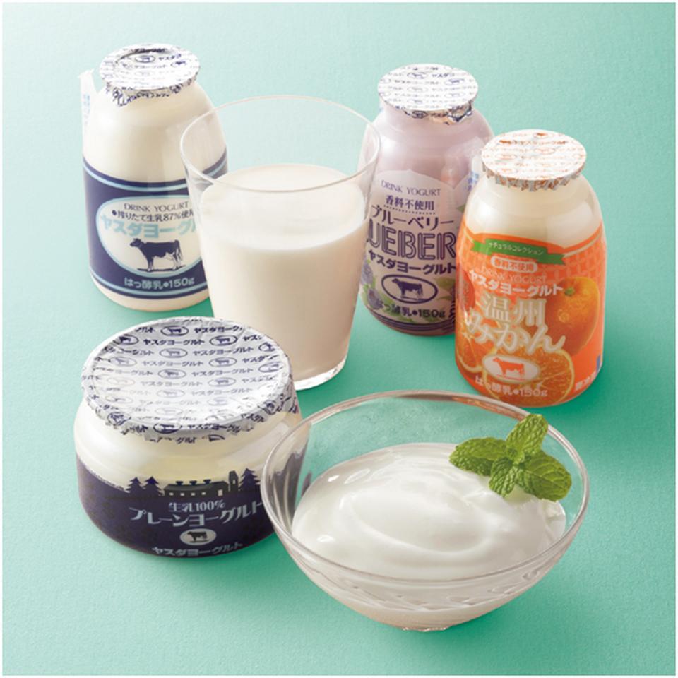 【父の日早得】ヤスダヨーグルトヤスダヨーグルトギフト 商品サムネイル