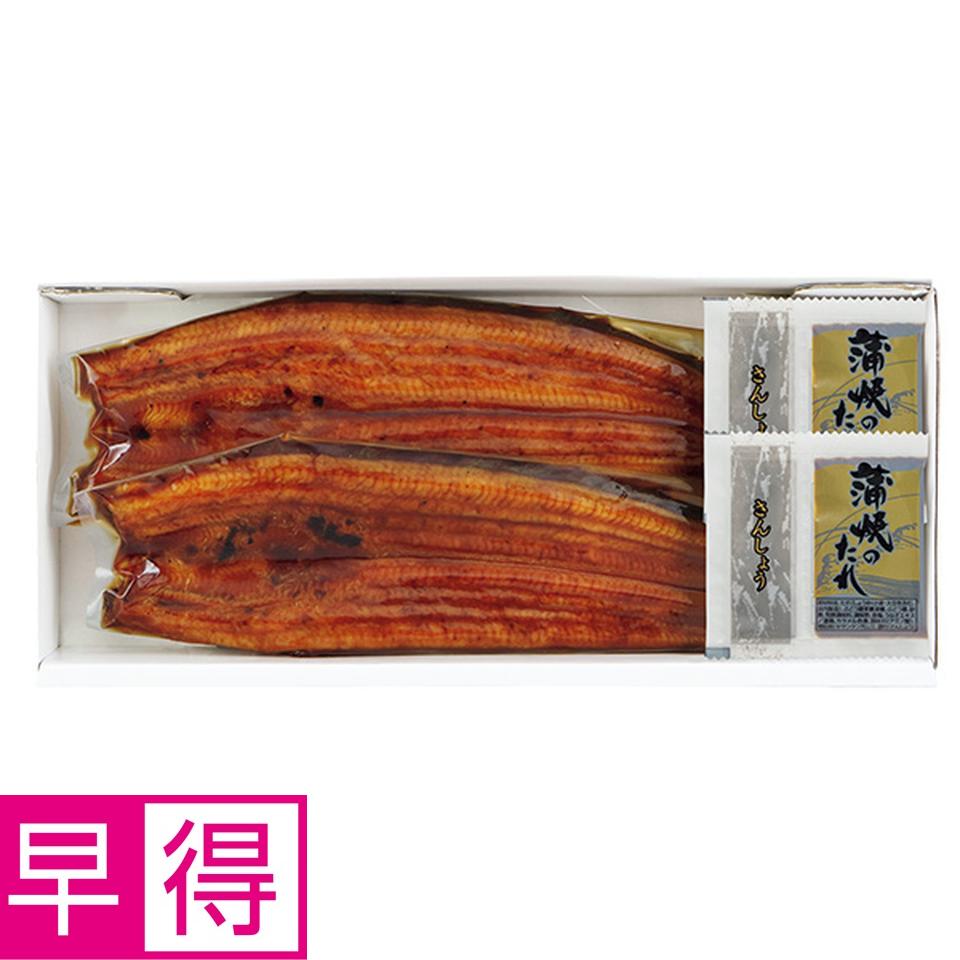 【夏の贈りもの早得】静岡県浜名湖産　うなぎ蒲焼２尾 商品サムネイル