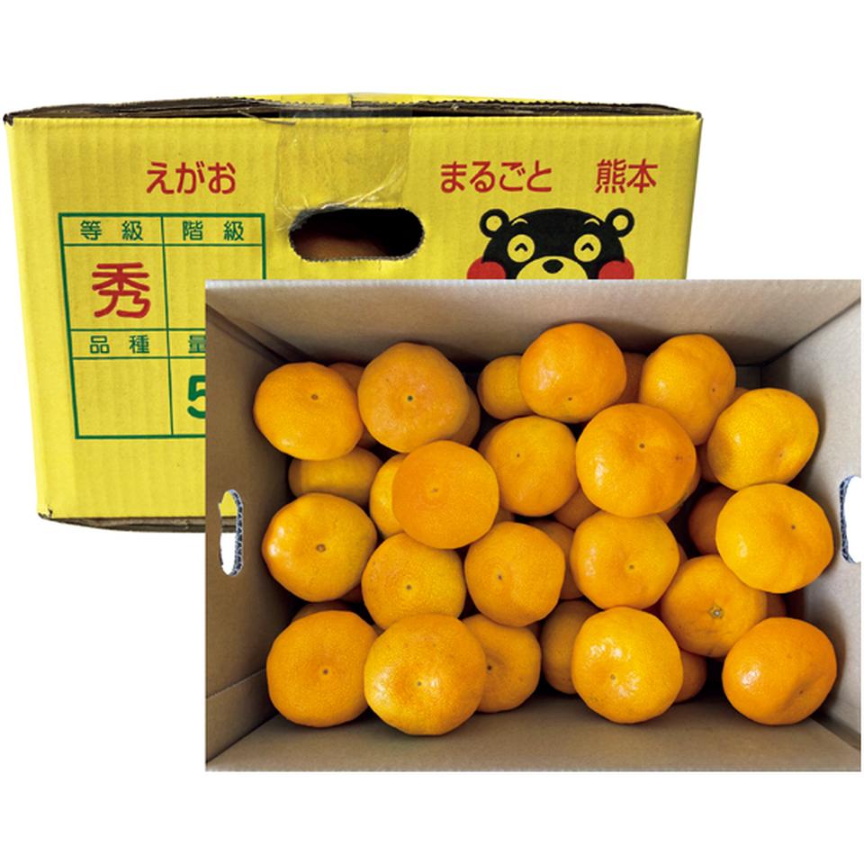 【冬の贈りもの】熊本県産 福嶌　豪さんのマル嶌みかん（秀品、計５ｋｇ以上） 商品サムネイル
