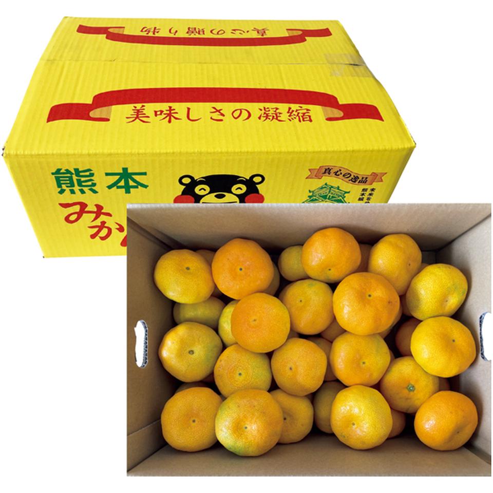 【冬の贈りもの】熊本県産 福嶌　豪さんのマル嶌みかん（優品、計５ｋｇ以上） 商品サムネイル