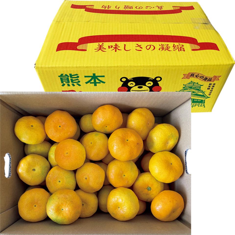 【お歳暮 ギフト】熊本県産 丸嶋みかん 優品、Ｓ又はＭ又はＬサイズ、計５ｋｇ以上 商品サムネイル